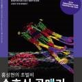 홍성현의 초벌비 <수호신 골매기> 이미지