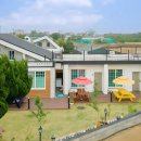 드니오니 | 드니오니와 제주 도심 호텔 후기 트립닷컴 할인코드 예약받기