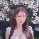 리나바이올린 이미지