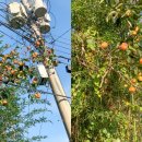 스테이유을 이미지