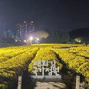 은하수 행정사사무소 네이버블로그