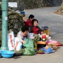 계척시목지 이미지