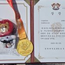 금태회금메달태권도