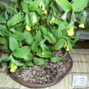 우리들이 보는 세상 이미지