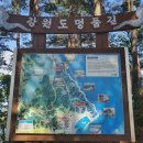 응봉산농장 이미지