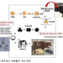 제주축산농협 축산물공판장 이미지