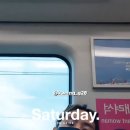 IGS KOREA 이미지