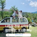 봄봄여행사 | 나트랑 판랑 사막투어 :: 양떼목장 포토존 소개, 포시즌 레스토랑 메뉴추천