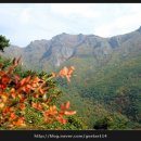 밀양농협 산내지소 이미지