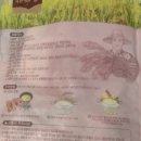 햇살담은떡