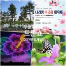 세종전통장류박물관 | 국립세종수목원 무궁화 축제, 야간 개장과 무료 입장 드론쇼 정보