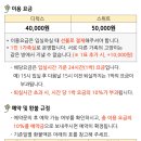 고양이의 봄, 묘랑묘랑 이미지