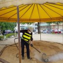 예성초교 병설유치원 이미지