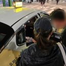 로라시스터 이미지