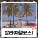 이용기농장 | 액티비티 가득한 발리 1주일 신혼여행 코스 및 경비 : 우붓, 기안야르, 누사페니다