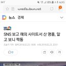 SNS 보고 해외 사이트서 산 명품, 알고 보니 짝퉁 이미지