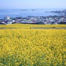 한국병원 (제주버스터미널방면) 이미지