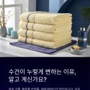 새하얀세탁 | 새하얀 수건 만드는 확실한 세탁 꿀팁