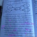 Thestory | 더블루밍영어 얼리챕터반 9월 후기 The Monster Story-Teller