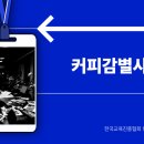 기초로스팅과 향미분석과정 | 커피감별사 1급 향미의 언어를 배우며 커피가 완전히 다르게 보였던 경험