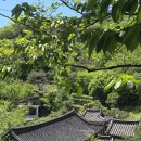 서영 작은도서관 | 부암동 청운문학도서관 한옥 폭포 주차 서울도서관 힐링데이트 코스 꿀팁|서촌가볼만한곳