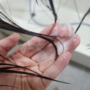 헤어터치 | 피노 프리미엄 터치 헤어 마스크 후기