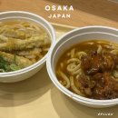 카레와푸드 | 간사이공항 면세구역 푸드코트 카레우동 & 우엉우동 후기