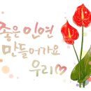 러브퀼트퀼트 이미지