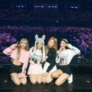 케이스타라이브