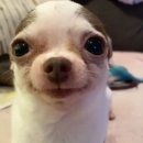 보리약국 이미지