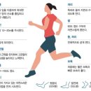메디플로우 (MEDIFLOW)
