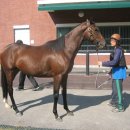 통산1목장 이미지