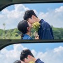 (주)아성다이소 대구중앙로점 | 제주 웨딩스냅 셀프부케 모니카네생화직판장 대구꽃백화점 비교