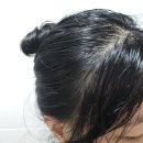 코스트코 추천템! 헤드앤숄더 클린앤밸런스 2L 대용량 리필 비듬 샴푸, 지성두피 온 가족 찐 사용 후기