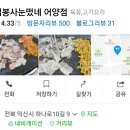 심봉사 눈떴네 이미지