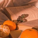 무신사 개러지 이미지