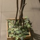 인생김밥 이미지