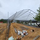 꿈쟁이하우스 이미지