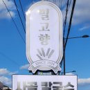 밀고향 이미지