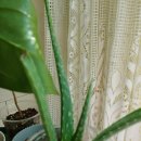 스피드카센타 이미지