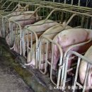 서명농장 이미지