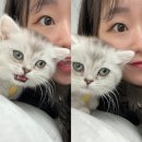 [영등포미용실] 위닛블랙 포레나당산 - 레이어드C컬 허그펌, 지희디자이너님 후기