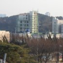 행정사법인 도원 네이버블로그