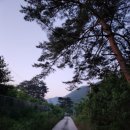 도호길 이미지