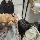 마동-29 | 도쿄 이케부쿠로 덕질 성지 선샤인시티 방문기!