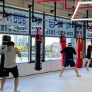 코리안탑팀 김포 킥복싱 이미지