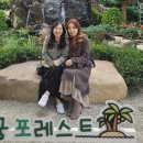 왕궁포레스트 이미지