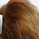 옐로우아웃헤어 이미지