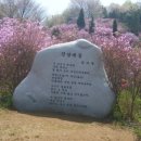 노암로 이미지