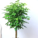 서현 행정사 사무소 이미지